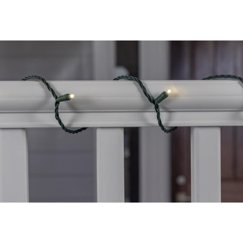 Celebrations Platinum LED Mini Dot Warm White 50 ct String Christmas Lights 25 ft.