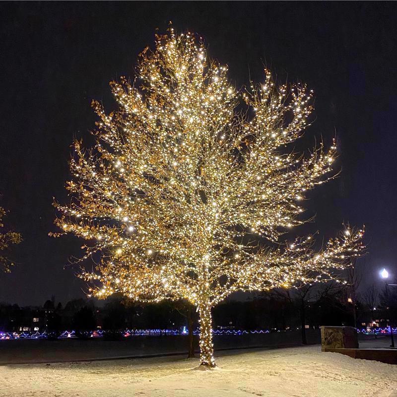 Celebrations Platinum LED Mini Dot Warm White 50 ct String Christmas Lights 25 ft.