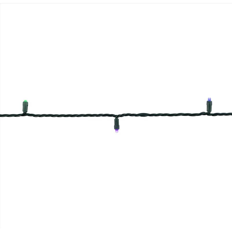 Celebrations Platinum LED Mini Multicolored 50 ct String Christmas Lights 25 ft.