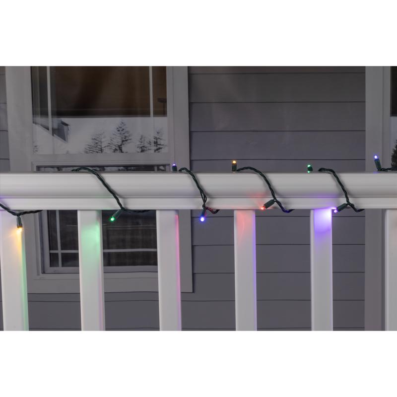 Celebrations Platinum LED Mini Multicolored 50 ct String Christmas Lights 25 ft.