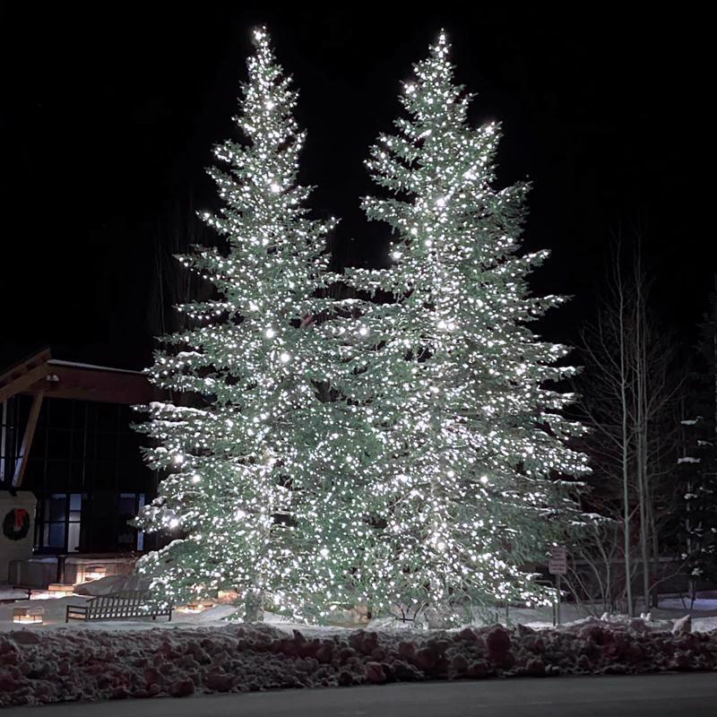Celebrations Platinum LED Mini Pure White 50 ct String Christmas Lights 25 ft.