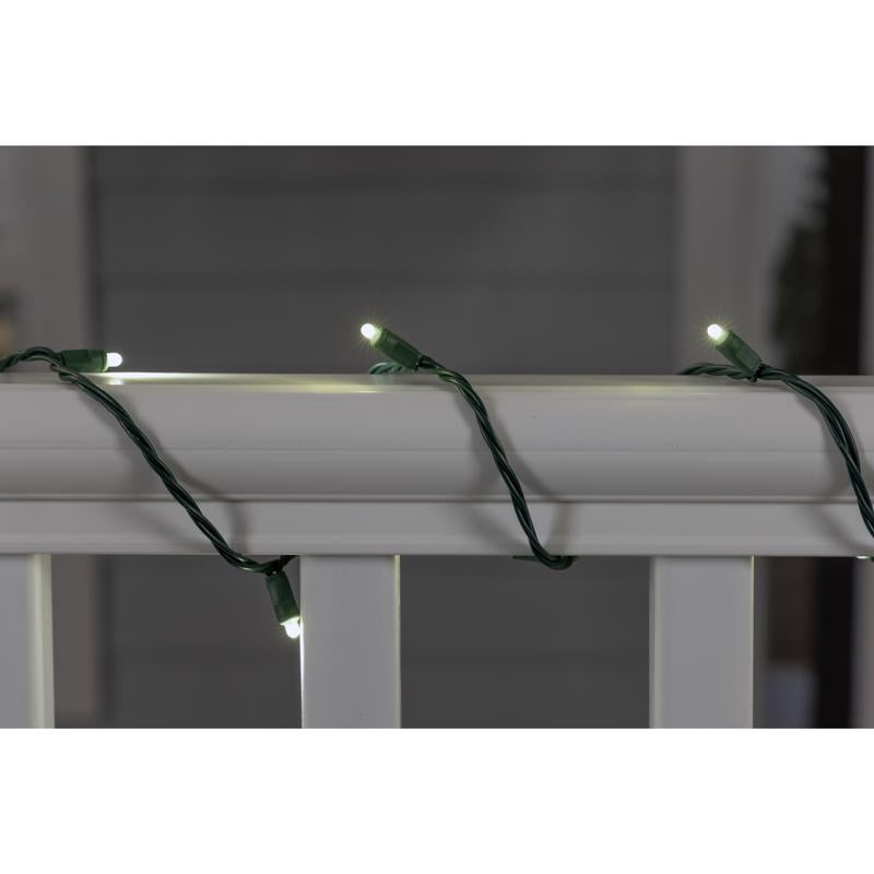 Celebrations Platinum LED Mini Pure White 50 ct String Christmas Lights 25 ft.