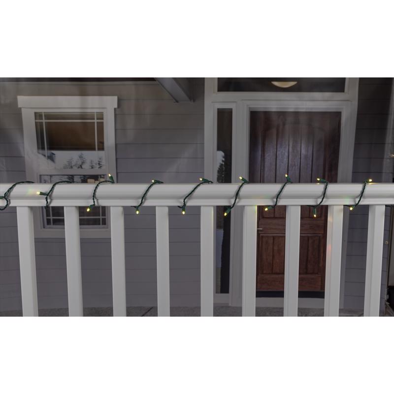 Celebrations Platinum LED Mini Multicolored 50 ct String Lights w/Remote Christmas Lights 25 ft.