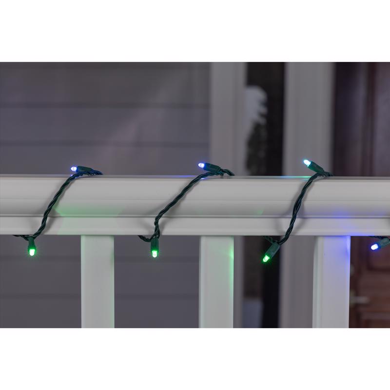 Celebrations Platinum LED Mini Multicolored 50 ct String Lights w/Remote Christmas Lights 25 ft.