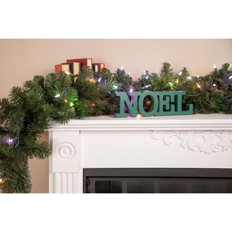 Celebrations Platinum LED T5 Multicolored 50 ct String Lights w/Remote Christmas Lights 25 ft.