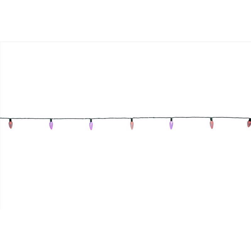 Celebrations Platinum LED C6 Multicolored 50 ct String Lights w/Remote Christmas Lights 25 ft.