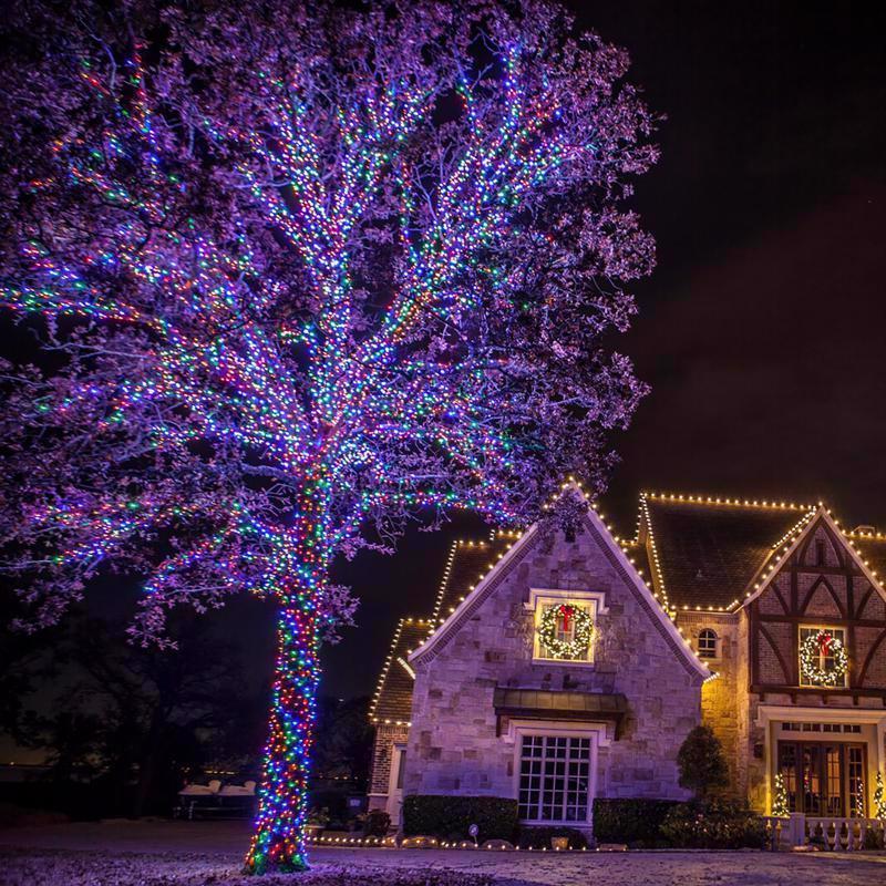 Celebrations Platinum LED T5 Multicolored 50 ct String Christmas Lights 25 ft.