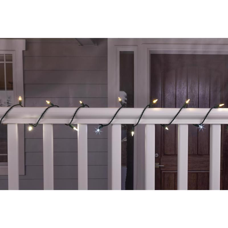 Celebrations Platinum LED T5 Champagne 50 ct String Christmas Lights 25 ft.