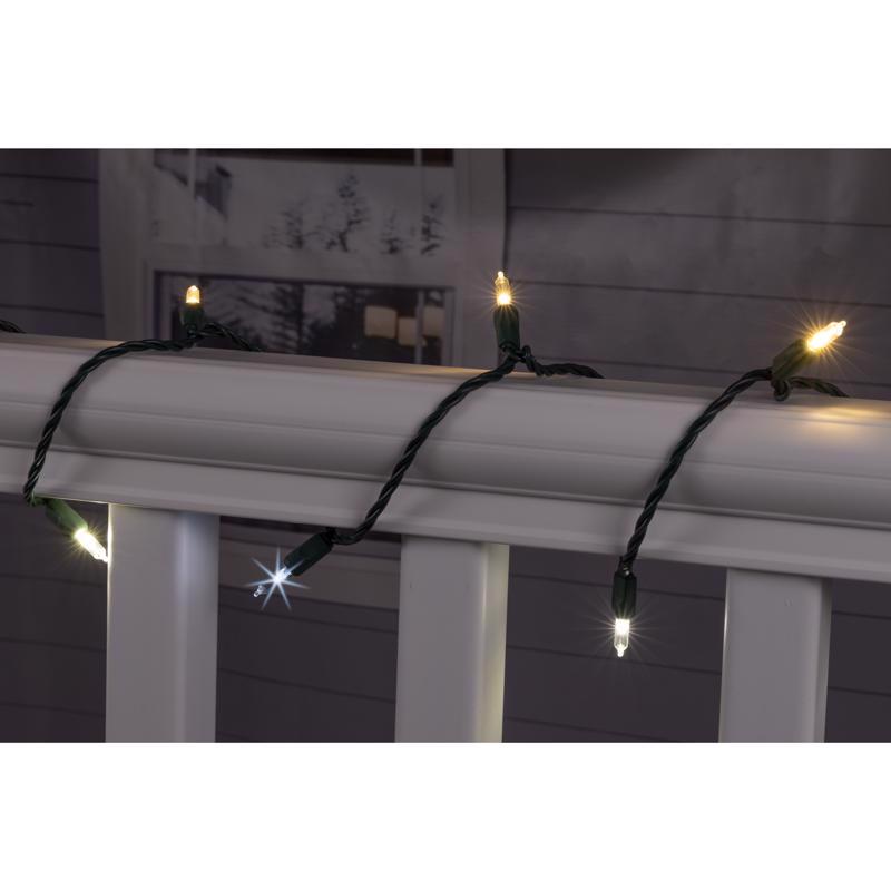 Celebrations Platinum LED T5 Champagne 50 ct String Christmas Lights 25 ft.