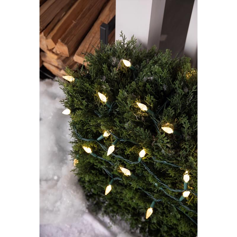 Celebrations Platinum LED C6 Warm White 50 ct String Christmas Lights 25 ft.