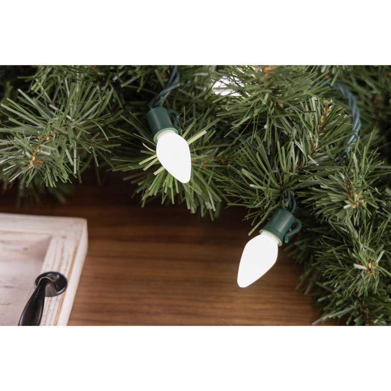 Celebrations Platinum LED C7 Warm White 50 ct String Christmas Lights 25 ft.