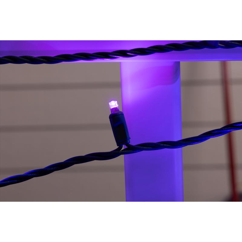 Celebrations Platinum LED C6 Multicolored Duet 50 ct String Christmas Lights 25 ft.