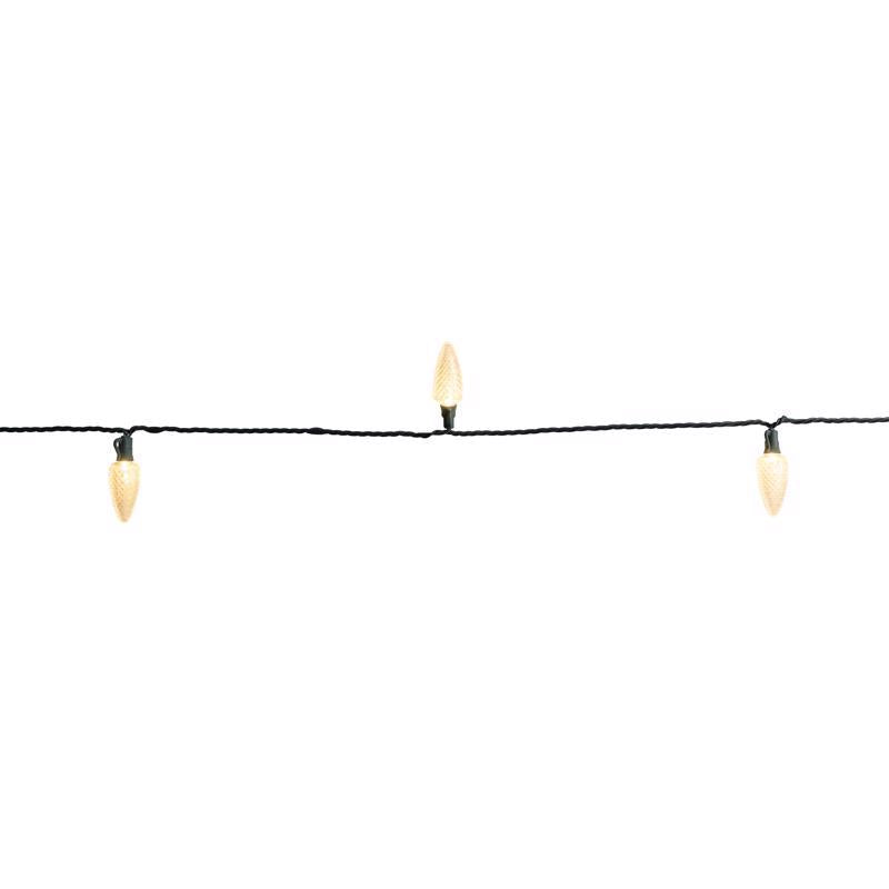 Celebrations Platinum LED C9 Warm White 25 ct String Christmas Lights 25 ft.