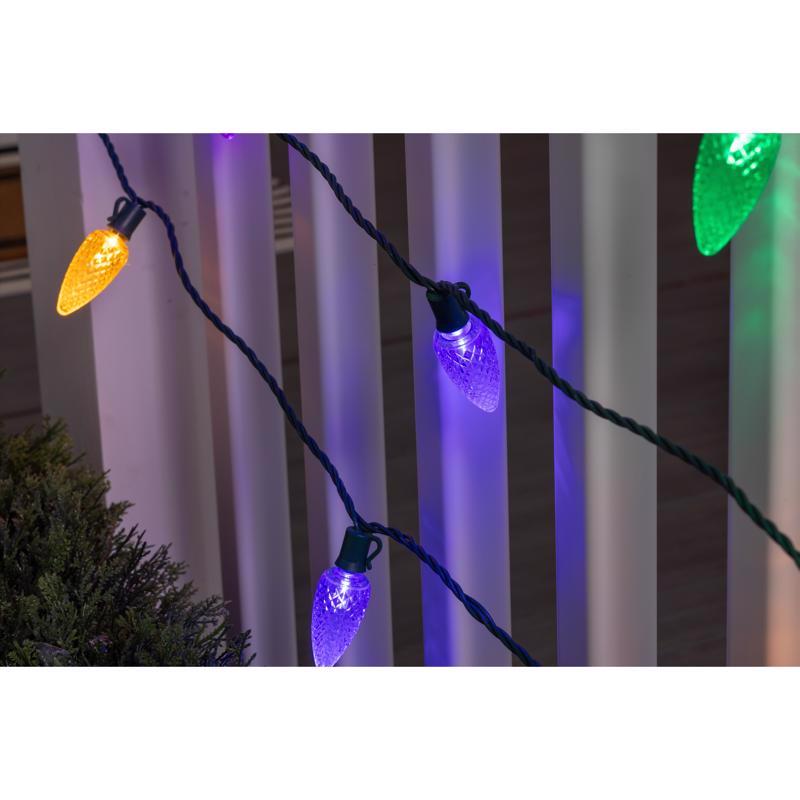 Celebrations Platinum LED C9 Multicolored 25 ct String Christmas Lights 25 ft.