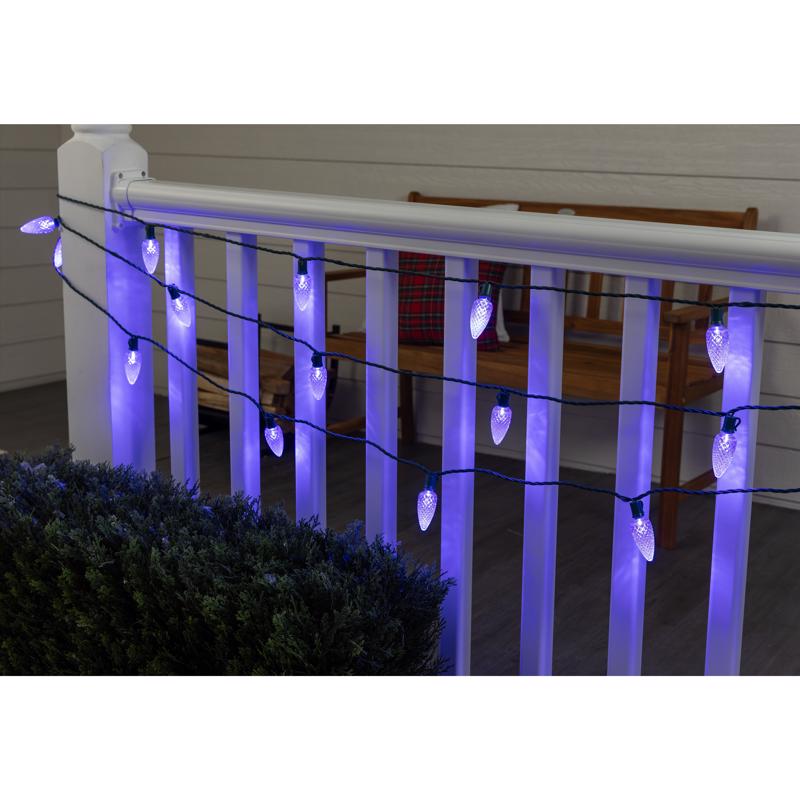 Celebrations Platinum LED C9 Blue 25 ct String Christmas Lights 25 ft.