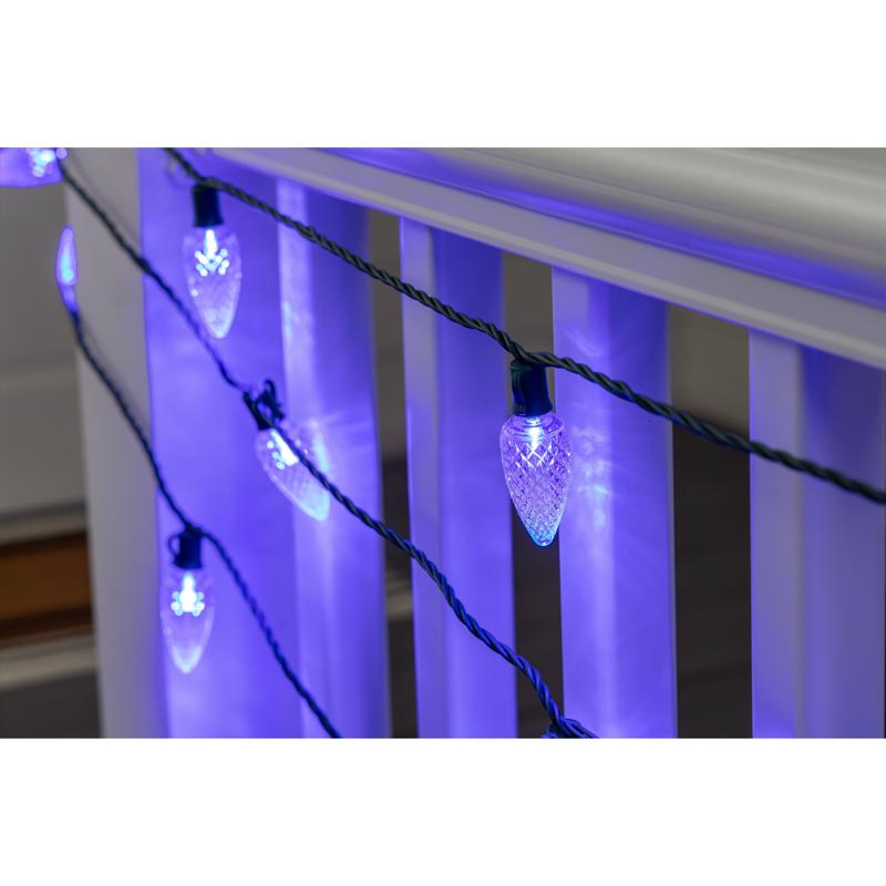 Celebrations Platinum LED C9 Blue 25 ct String Christmas Lights 25 ft.