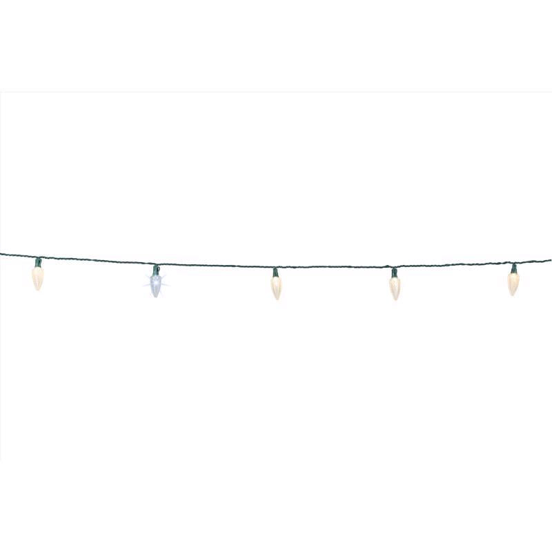 Celebrations Platinum LED C9 Warm White 25 ct String Christmas Lights 25 ft.