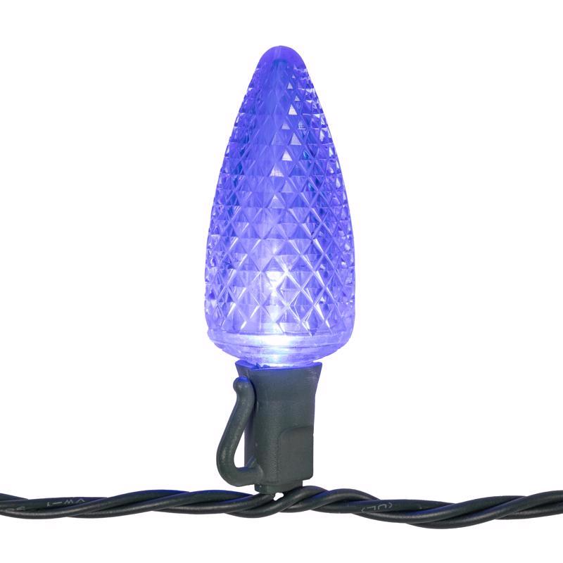Celebrations Platinum LED C9 Multicolored 25 ct String Christmas Lights 25 ft.