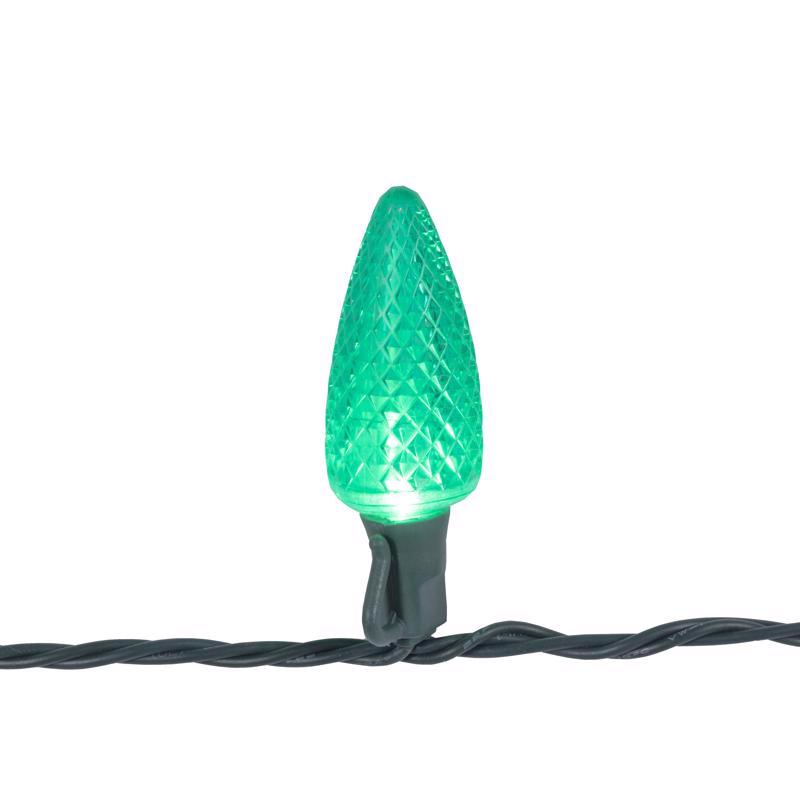 Celebrations Platinum LED C9 Multicolored 25 ct String Christmas Lights 25 ft.