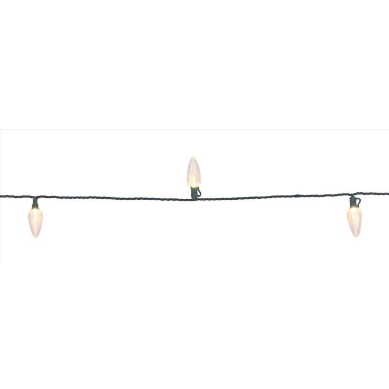 Celebrations Platinum LED C9 Warm White 25 ct String Christmas Lights 25 ft.