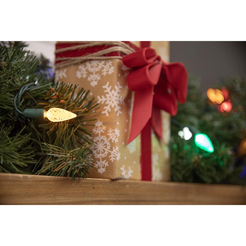 Celebrations Platinum LED C6 Multicolored 50 ct String Christmas Lights 25 ft.