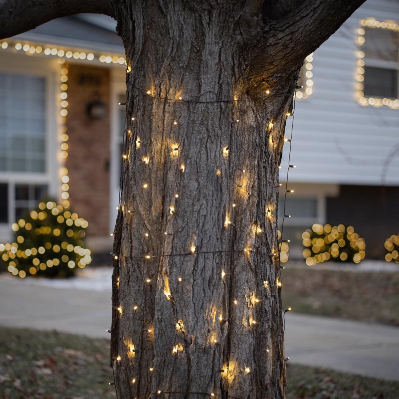 Celebrations Platinum LED Mini Warm White 100 ct Net Christmas Lights 6 ft.