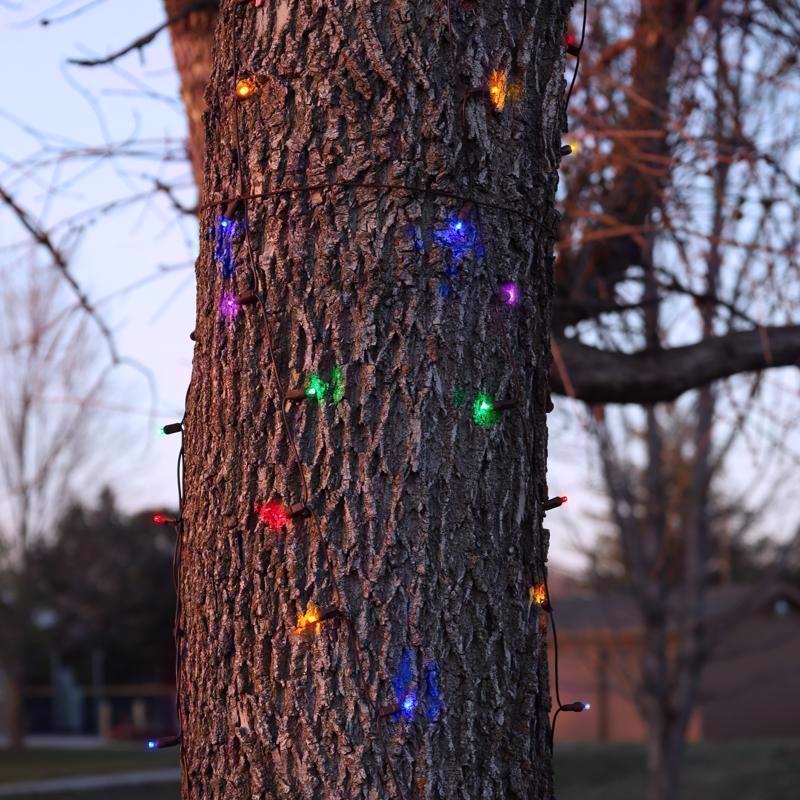 Celebrations Platinum LED Mini Multicolored 100 ct Net Christmas Lights 6 ft.