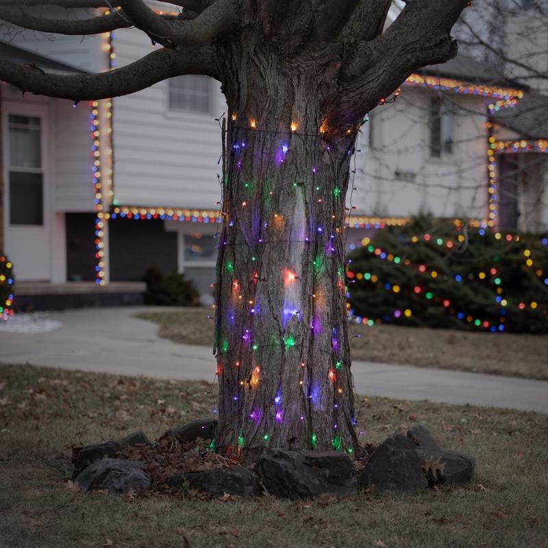 Celebrations Platinum LED Mini Multicolored 100 ct Net Christmas Lights 6 ft.