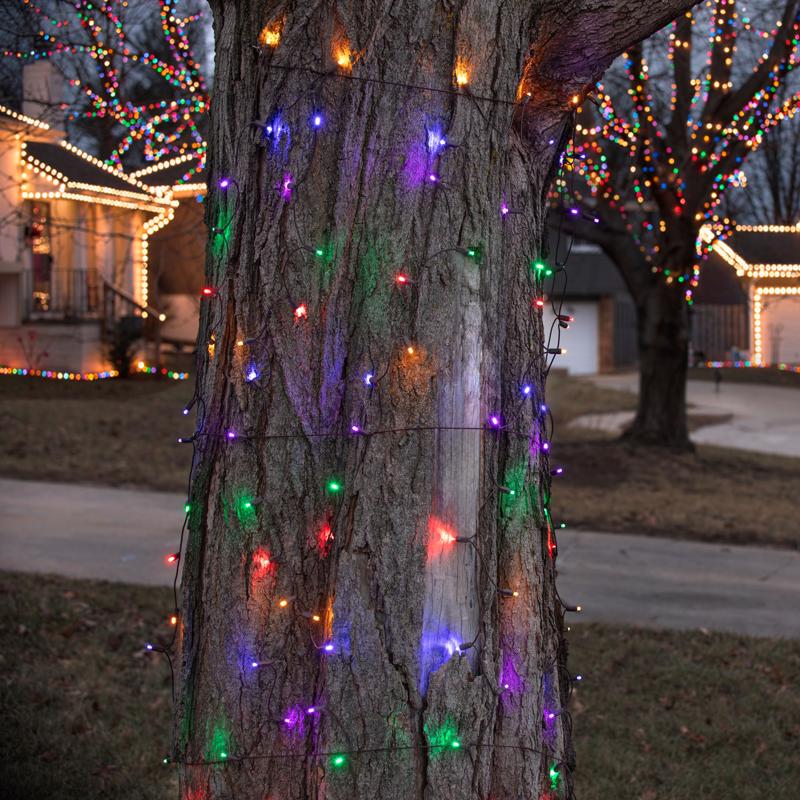 Celebrations Platinum LED Mini Multicolored 100 ct Net Christmas Lights 6 ft.