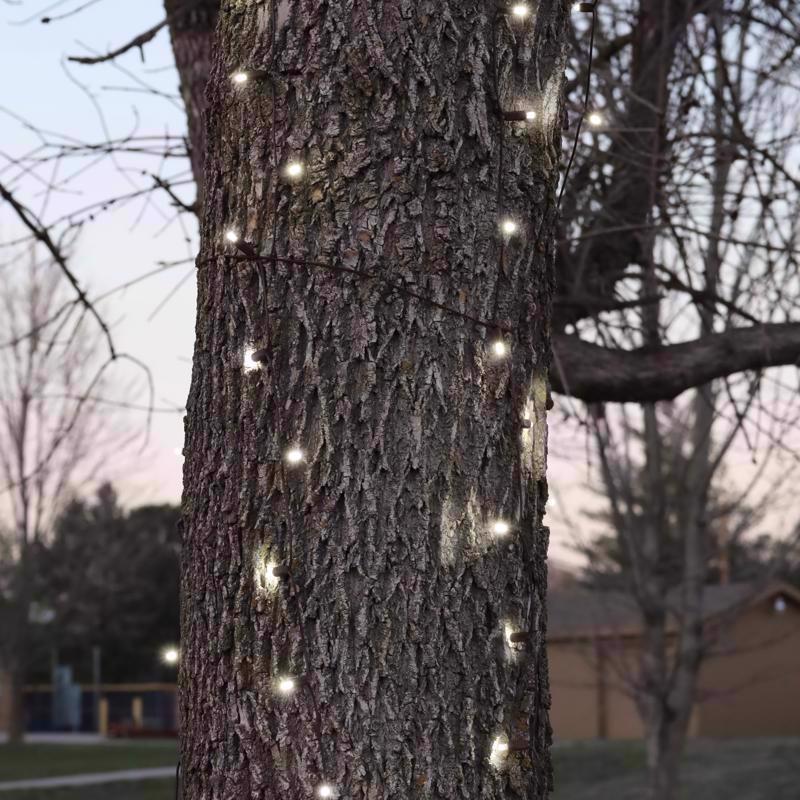 Celebrations Platinum LED Mini Pure White 100 ct Net Christmas Lights 6 ft.