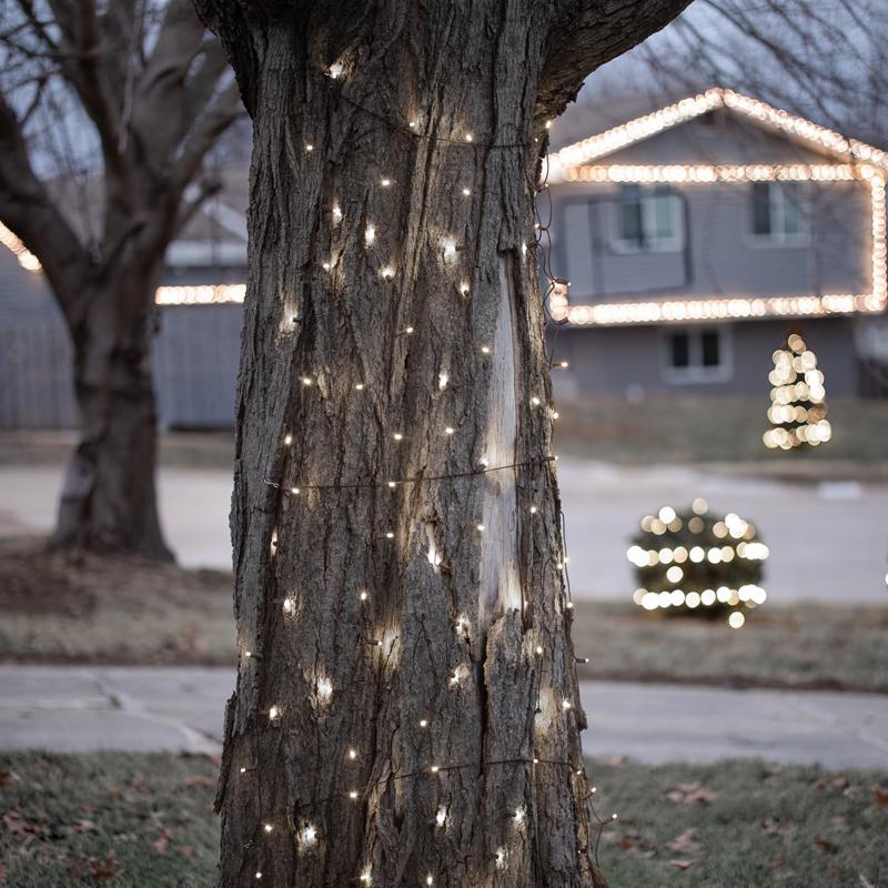 Celebrations Platinum LED Mini Pure White 100 ct Net Christmas Lights 6 ft.