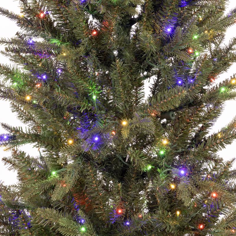 Celebrations 1-2 Tree 7 ft. Slim LED 350 ct Majestic Fraser Fir Color Changing Christmas Tree
