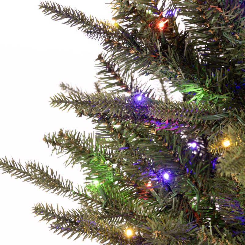 Celebrations 1-2 Tree 7 ft. Slim LED 350 ct Majestic Fraser Fir Color Changing Christmas Tree