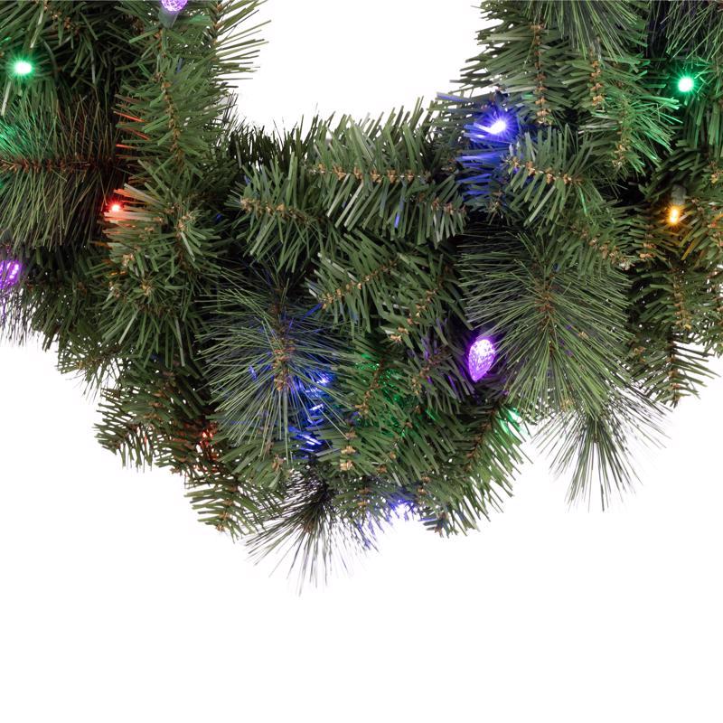 Celebrations Platinum 26 in. D LED Prelit Multicolored Mixed Pine Wreath