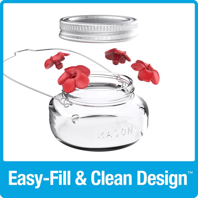 Nature's Way Hummingbird 6 oz Glass Mason Jar Bird Feeder 4 ports