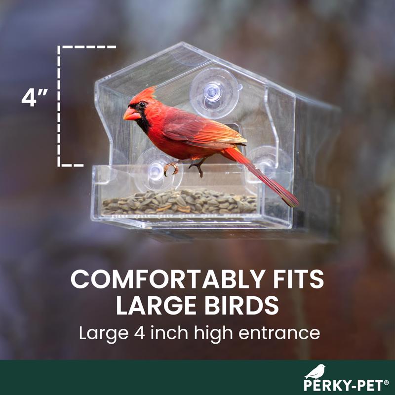 Perky-Pet Wild Bird 0.5 lb Plastic Window Bird Feeder 1 ports