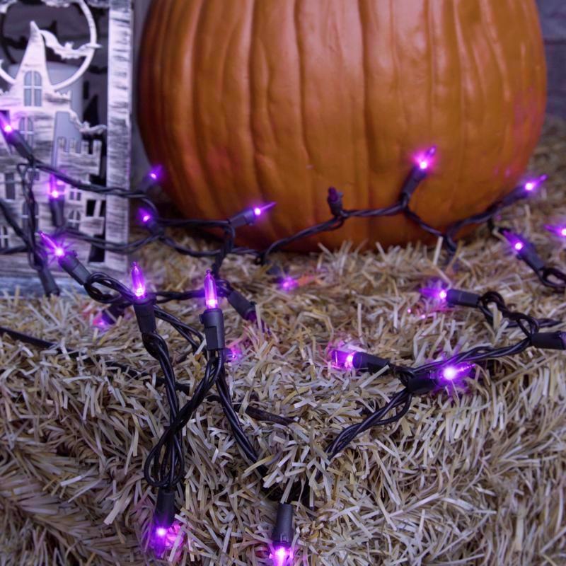 Celebrations Purple 100 ct LED Mini Halloween String Lights