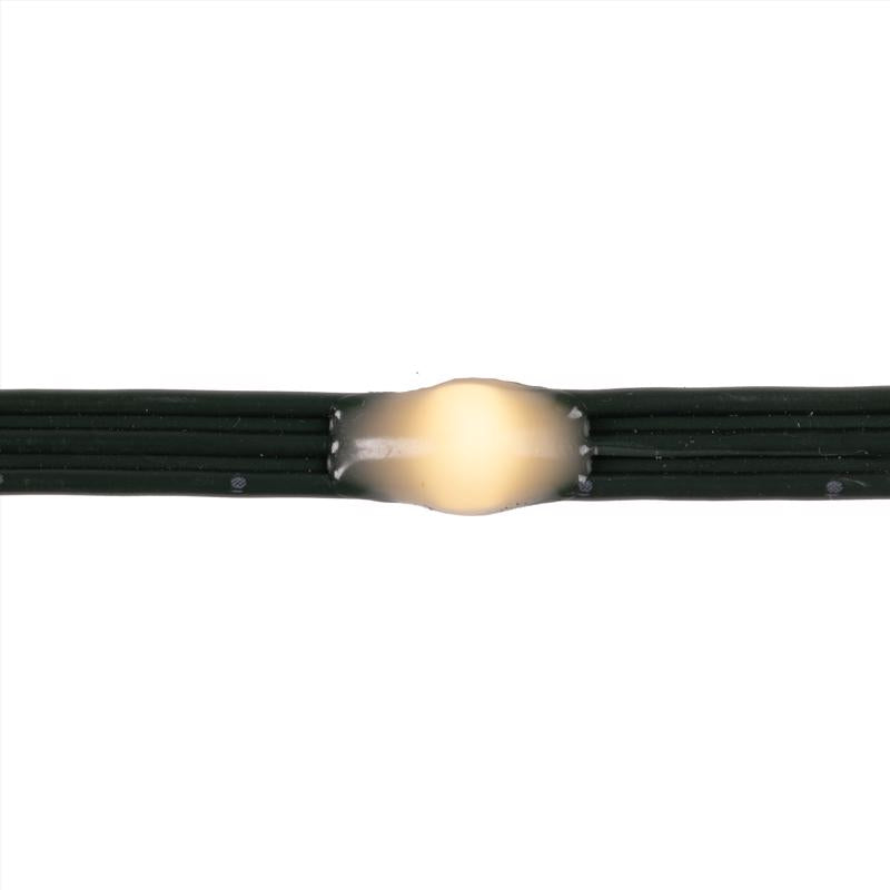 Celebrations Platinum LED RGB 100 ct String Christmas Lights 17 ft.