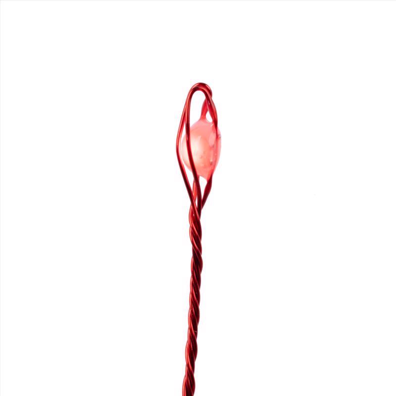 Celebrations Platinum LED Big Seed Cluster Red 250 ct String Christmas Lights 10 ft.