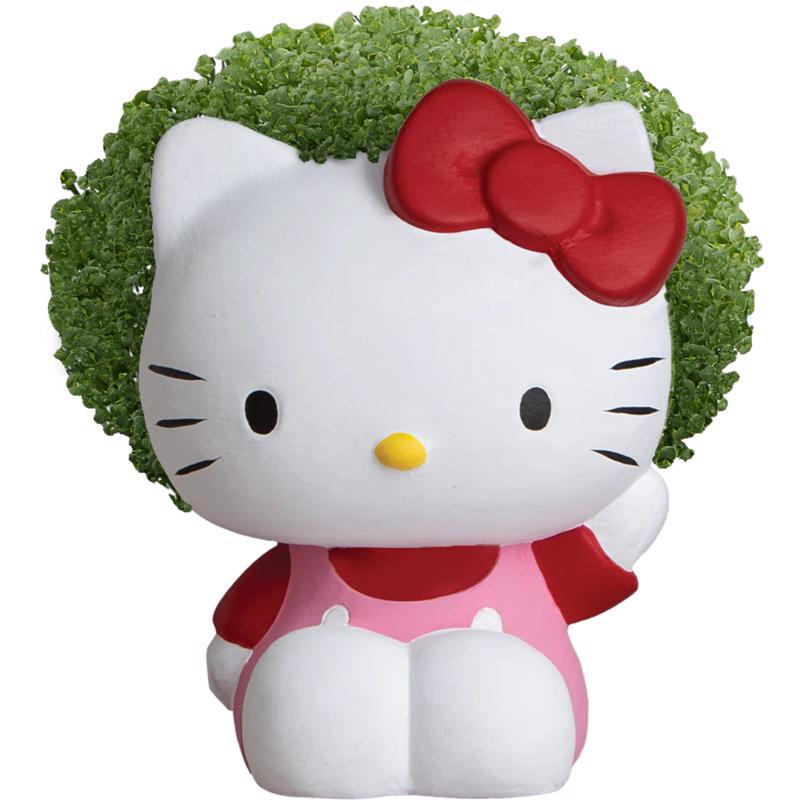 Chia Pet Hello Kitty Planter