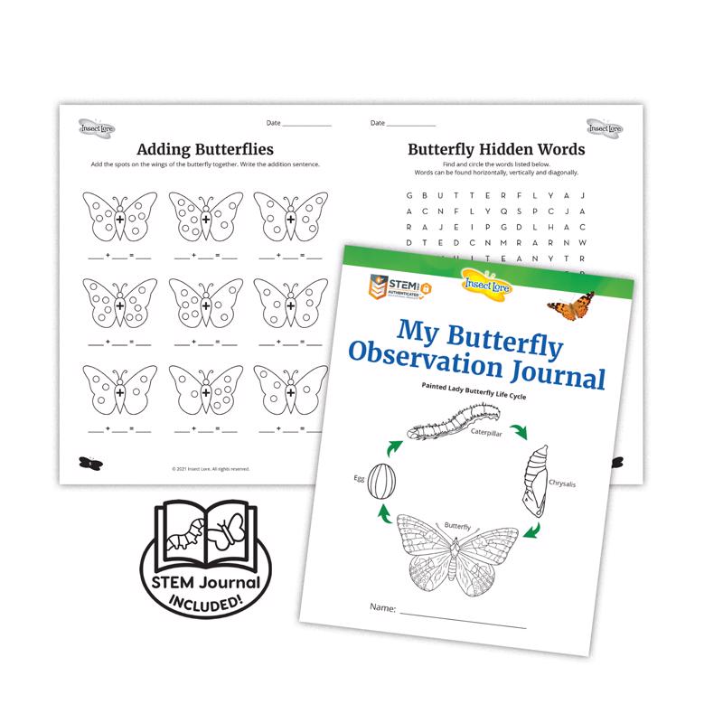 Insect Lore Butterfly Garden Growing Kit Green