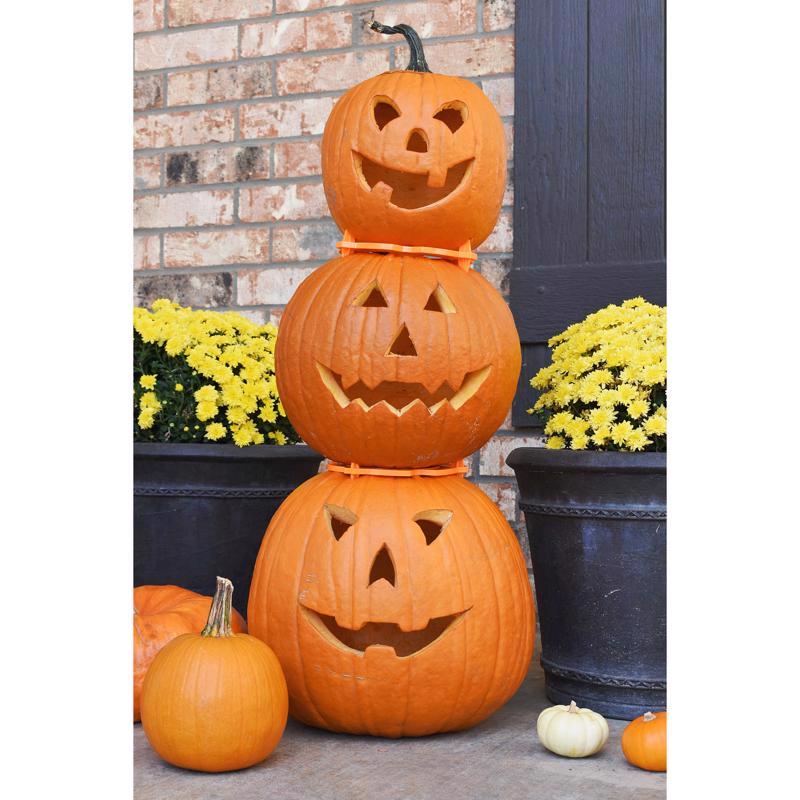 Hey Buddy Hey Pal Stack-O-Lantern Pumpkin Accessory