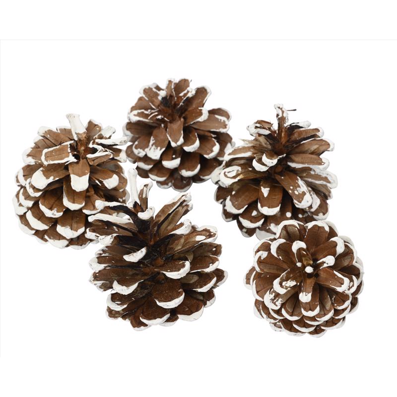 Decoris Set of 5 Pinecones 5.91 in.