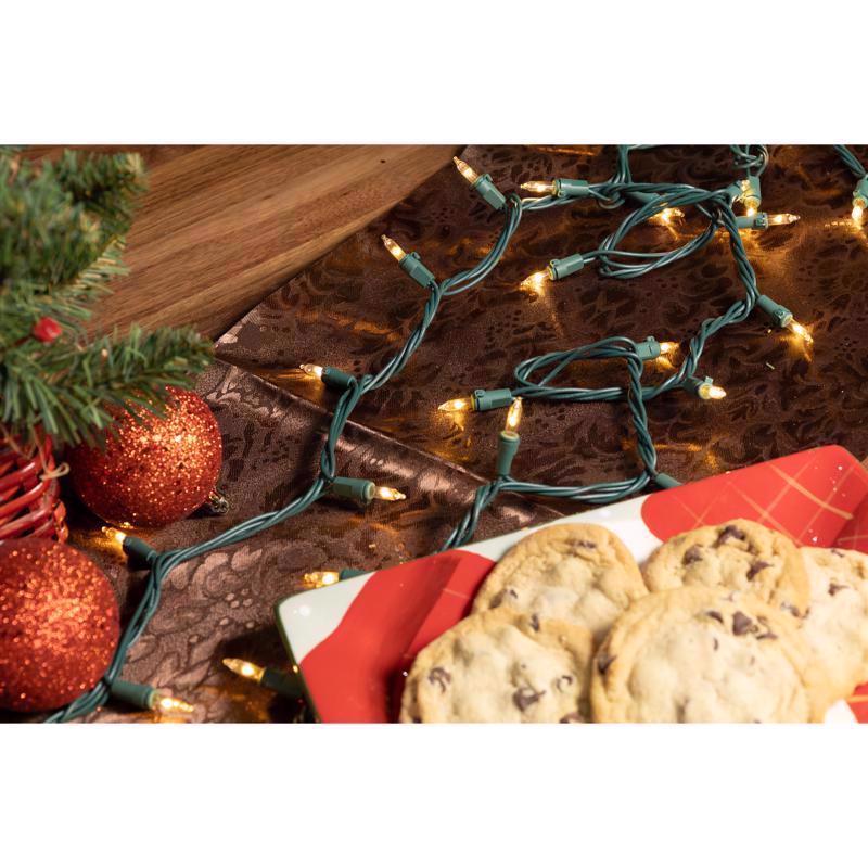 Celebrations Classic LED T5 Warm White 100 ct String Christmas Lights 24.75 ft.