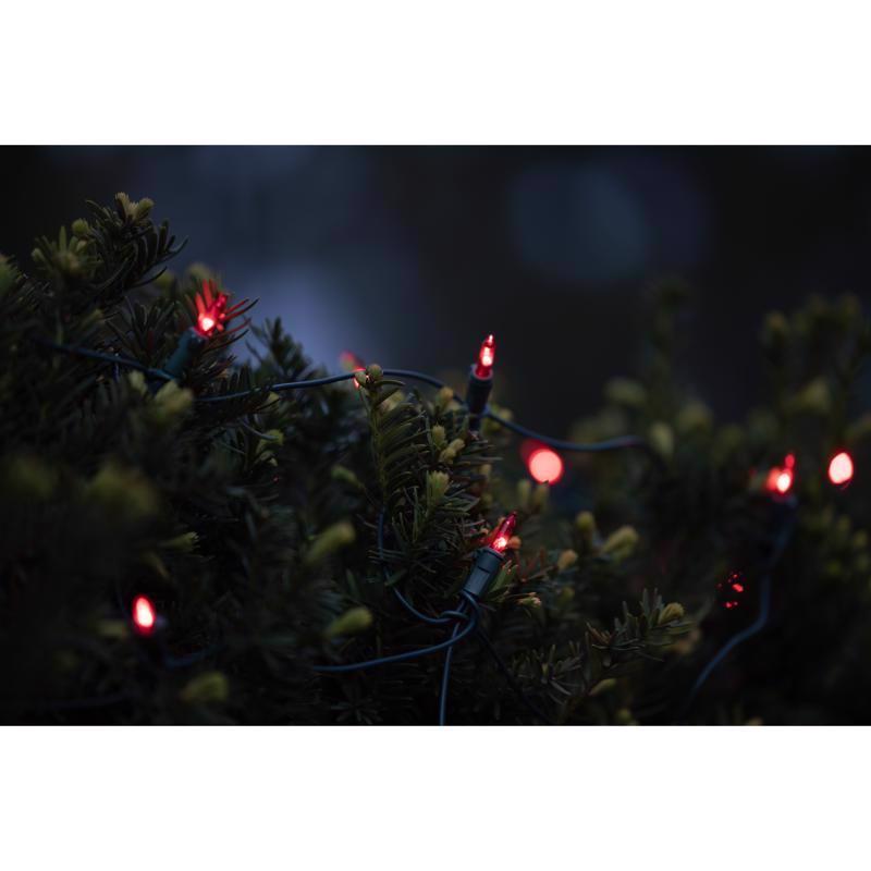 Celebrations Classic LED T5 Red 100 ct Net Christmas Lights 4 ft.