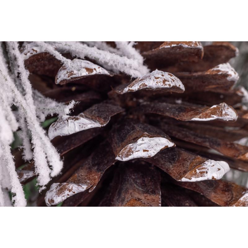 Celebrations Home 30 in. D LED Prelit Multicolored Snowy Scotch Pine Wreath