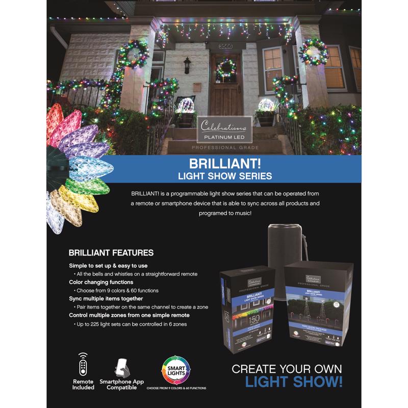 Celebrations Platinum LED RGBW Light Burst 30 in. Yard Decor