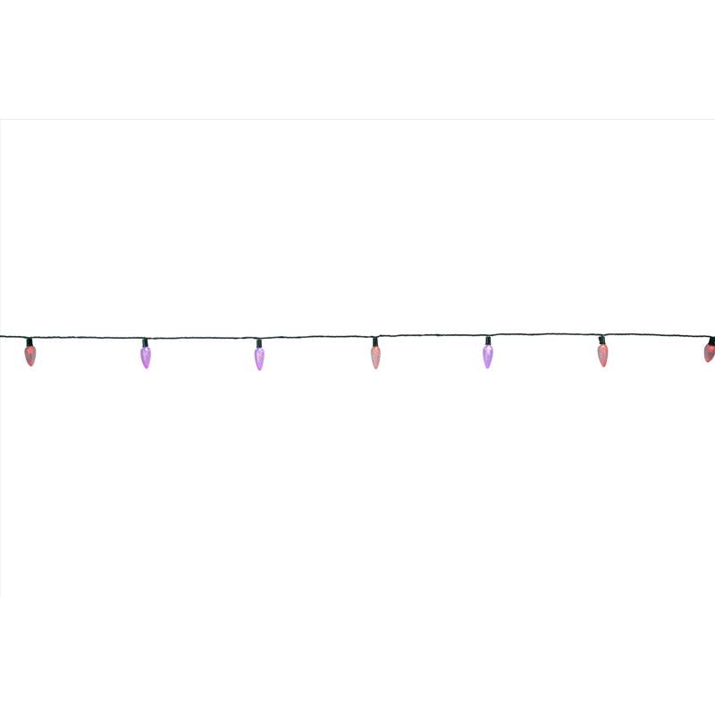 Celebrations Platinum LED C9 RGBW 25 ct String Christmas Lights 25 ft.