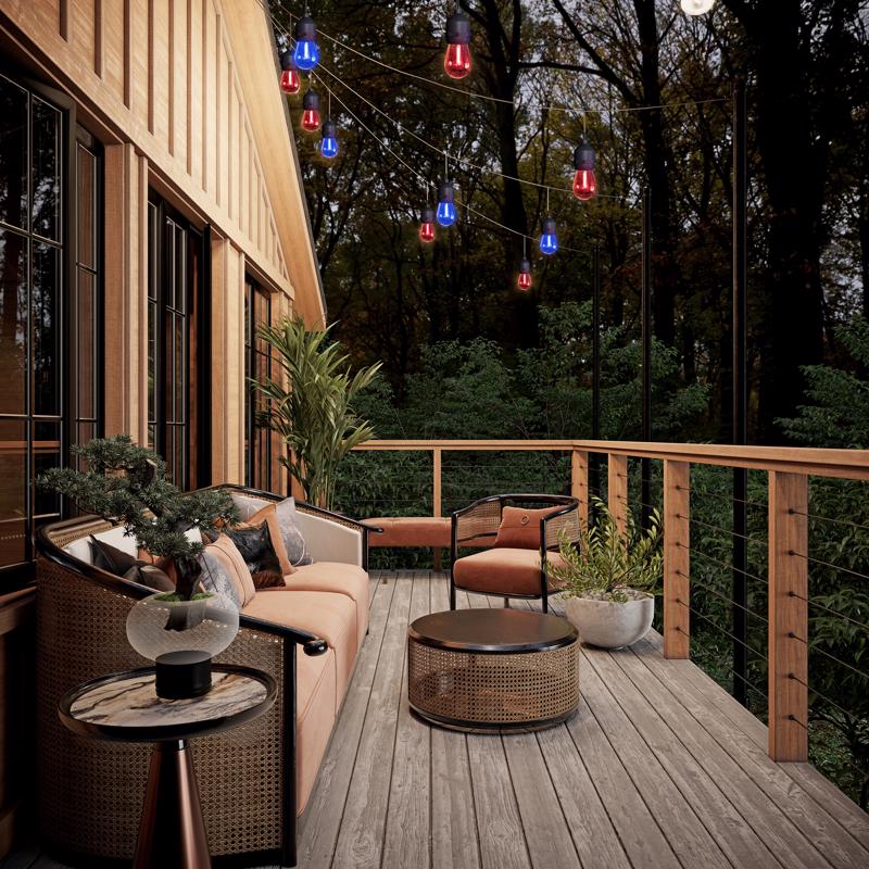 Feit LED String Lights w/Remote Control Multicolored 24 ft. 12 lights