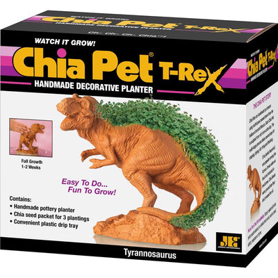 Chia Pet Dinosaur TRex Decorative Planter Terracotta Clay